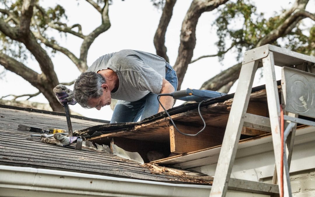 4 Steps to Take After a Storm Damages Your Hope Roof