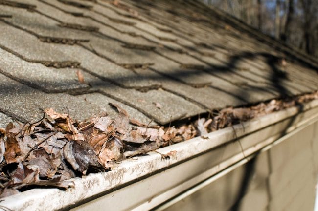 spring roof problems, spring weather damage, spring roof maintenance
